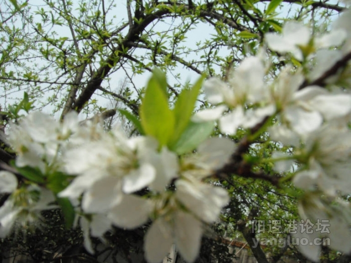 DSCF1657.JPG