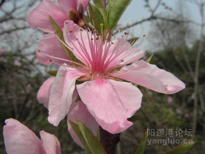 DSCF1677.JPG