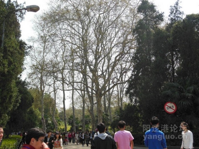 DSCN0587.jpg