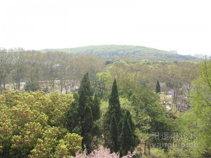 DSCN0625.jpg