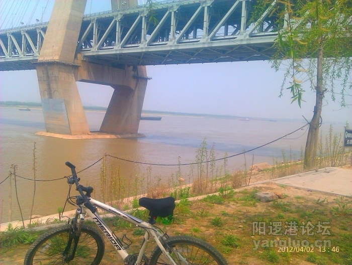 IMAG0390.jpg