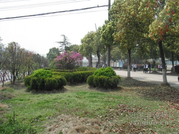 DSCF1778.JPG