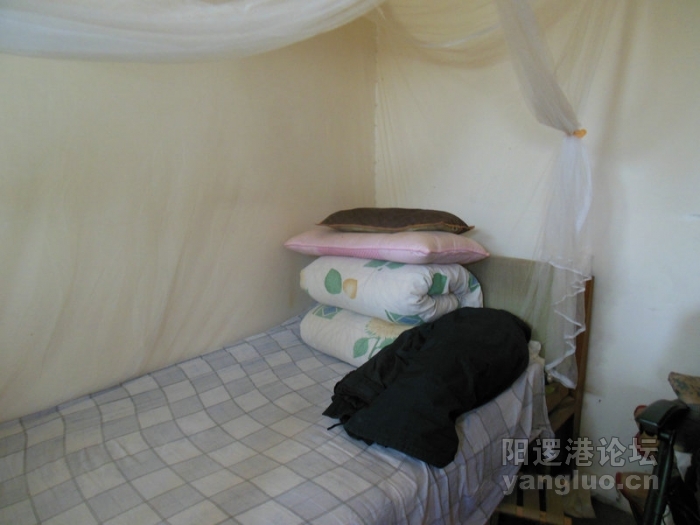 DSCN0802.jpg