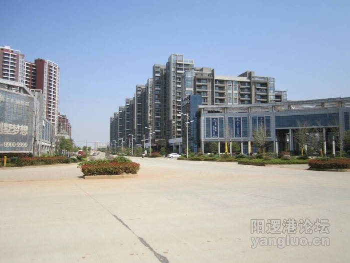 阳逻风光4.JPG