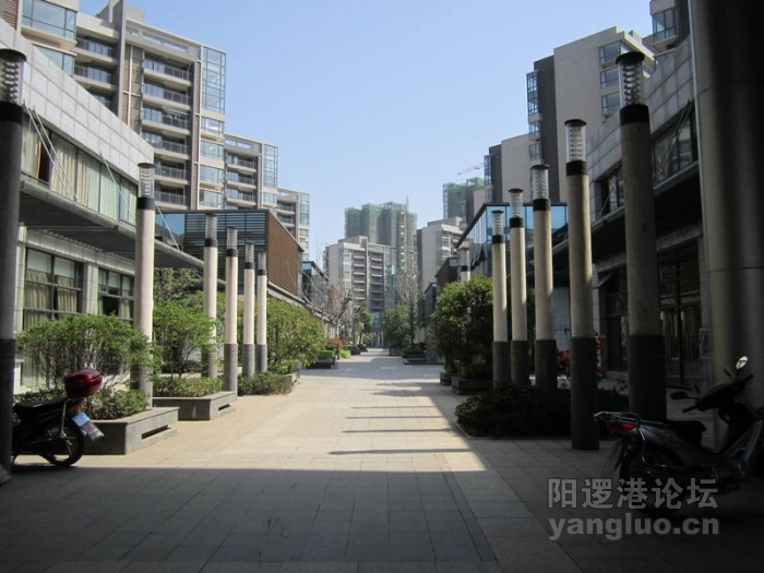 阳逻风光6.JPG