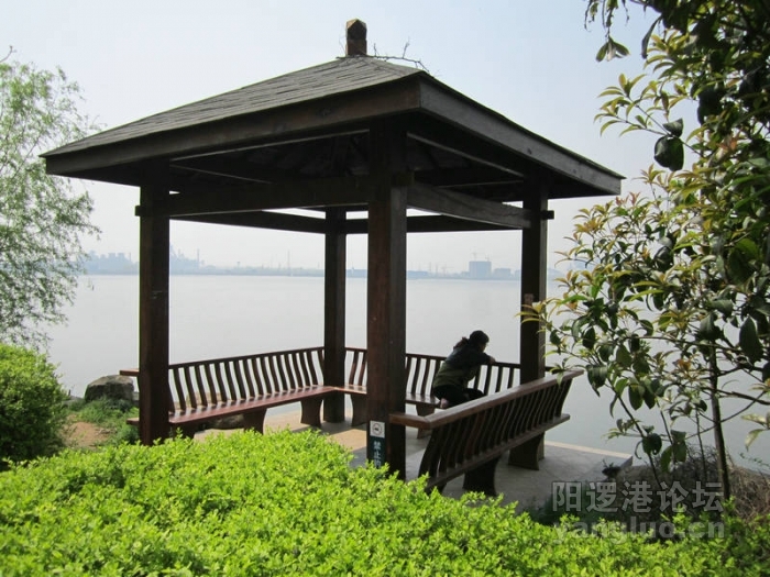 阳逻风光10.JPG
