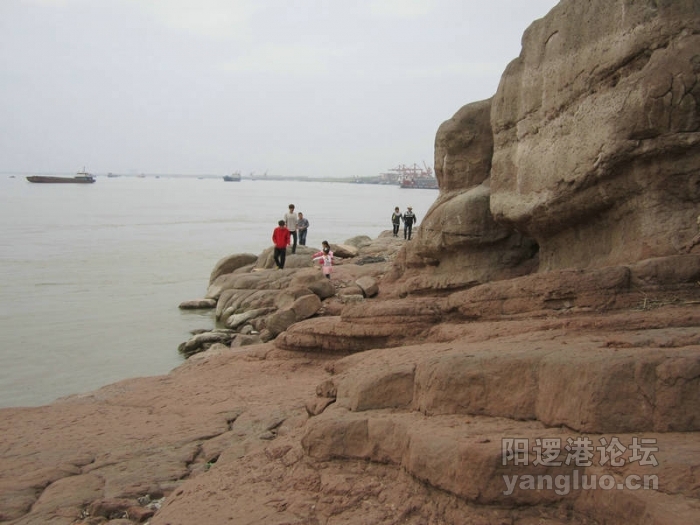 阳逻风光17.JPG