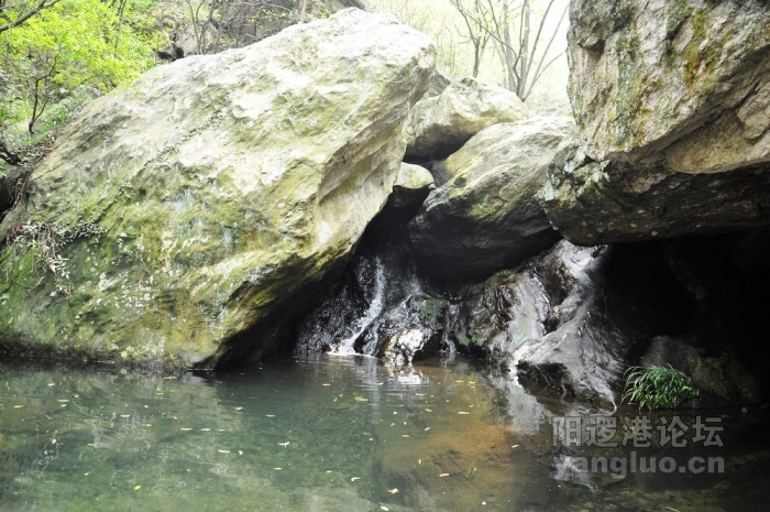DSC_0279.JPG