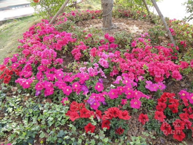 DSC00396.JPG