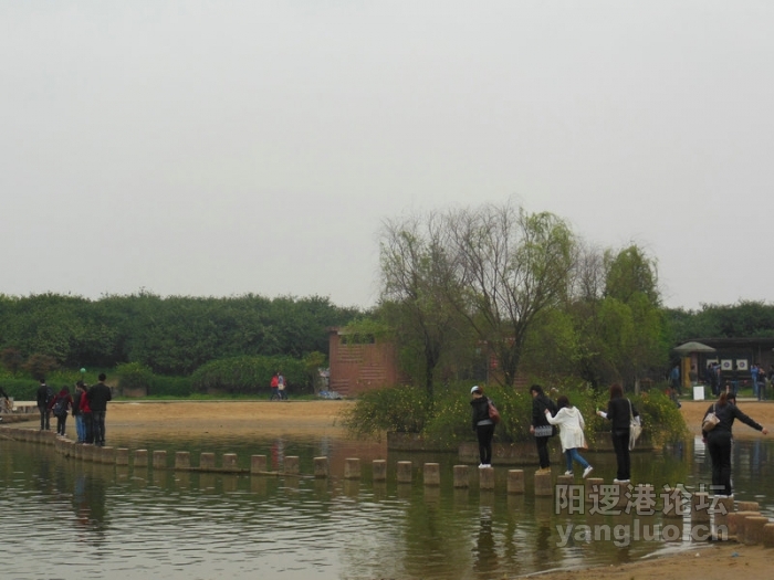 DSCN1031.jpg