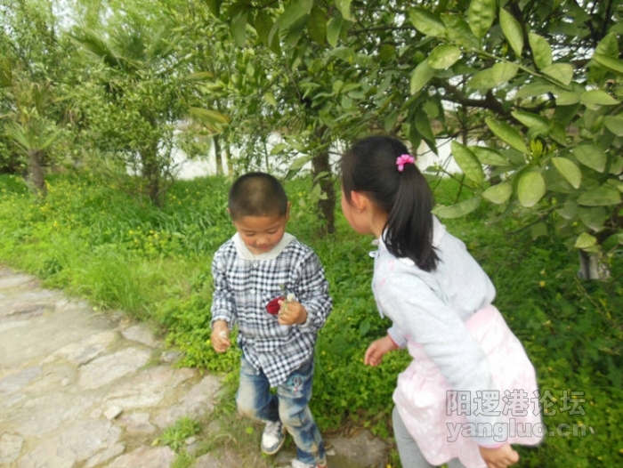DSCN1060.jpg