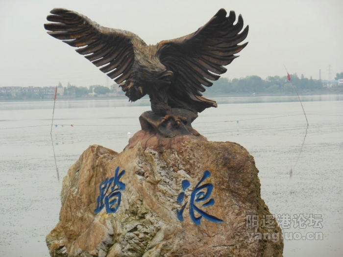 DSCN1065.jpg