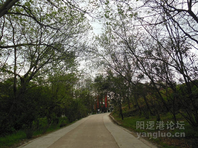 DSCN1069.jpg