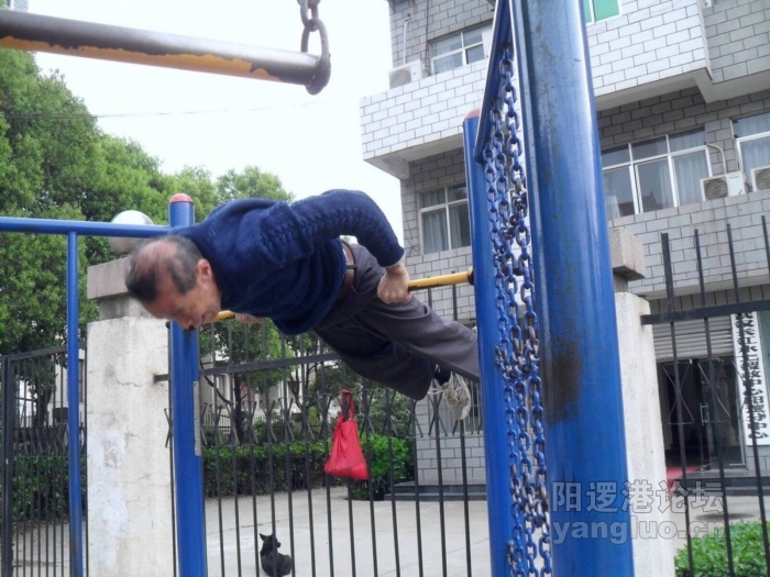 SDC10387~1.jpg