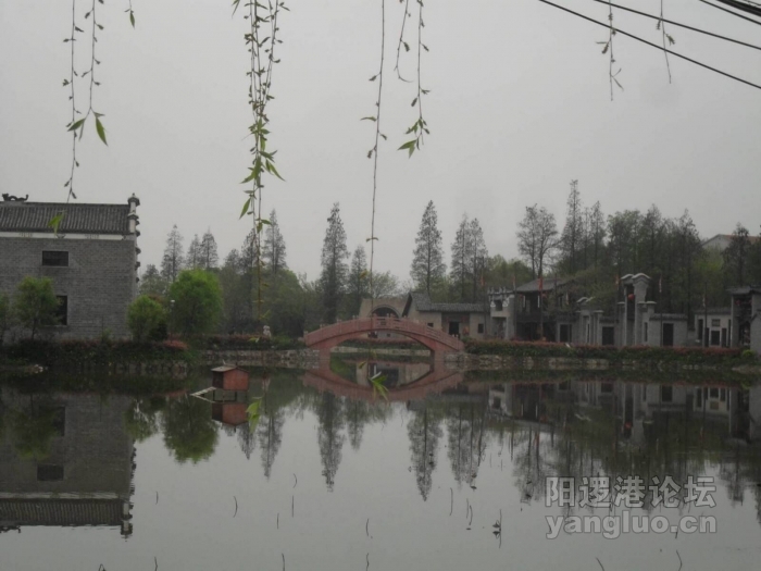 SDC10421.JPG
