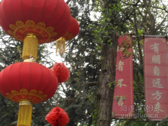 SDC10426.JPG