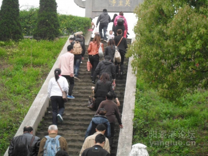 SDC10431.JPG