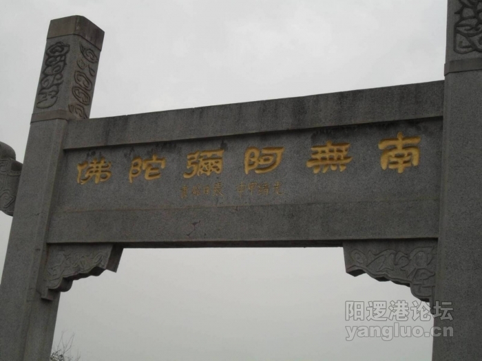 SDC10437.JPG