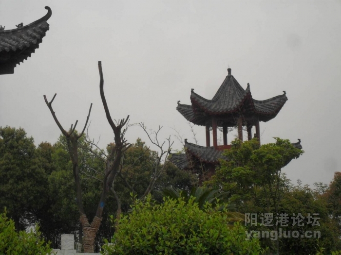 SDC10440.JPG