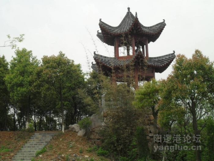 SDC10443.JPG