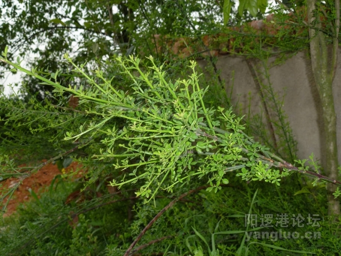 P1000549.JPG
