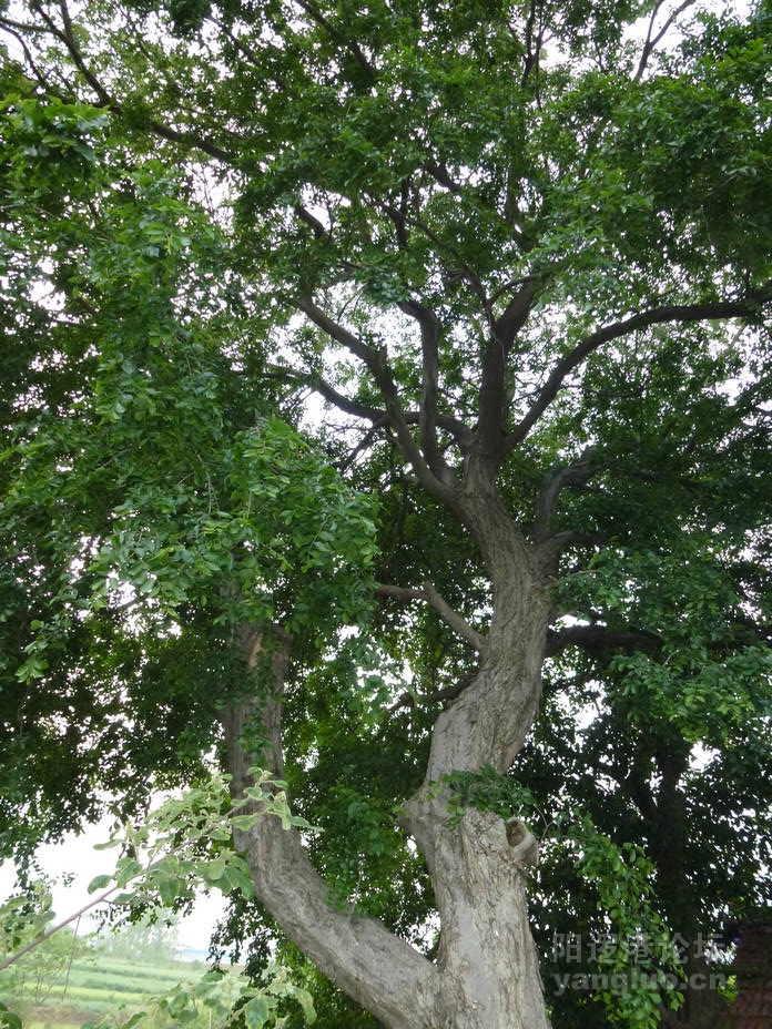 P1000557.JPG