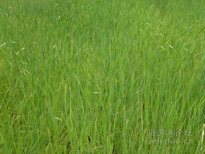 P1000636.JPG