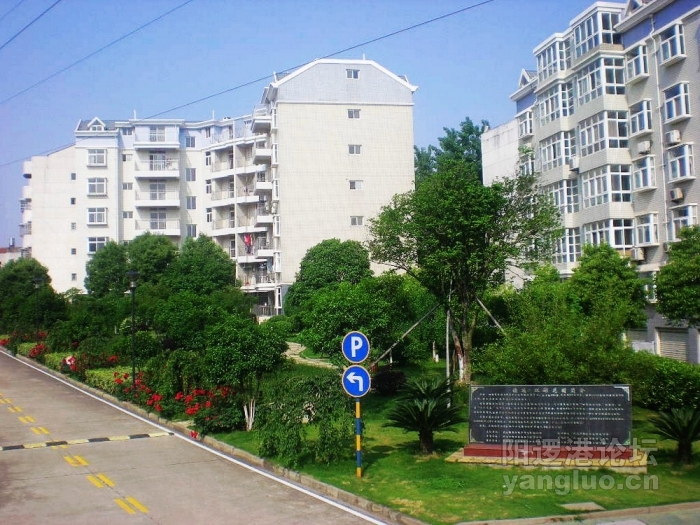照片 250.jpg