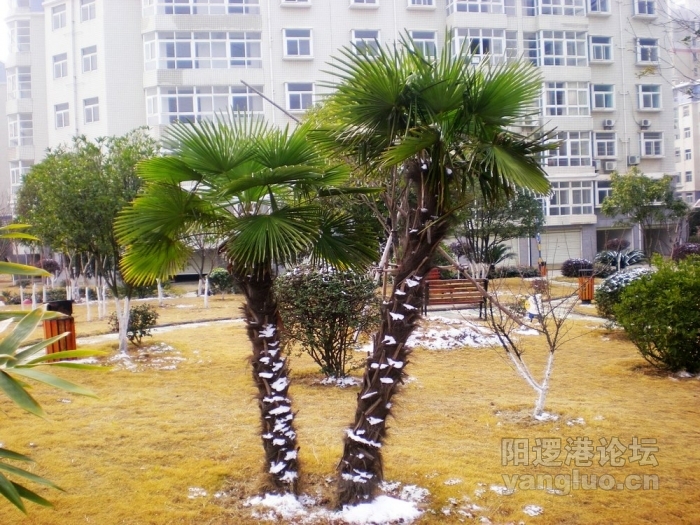 照片 225.jpg