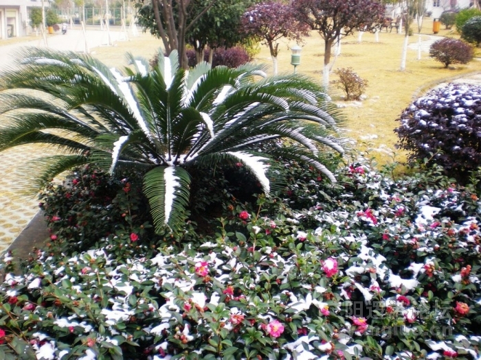 照片 229.jpg
