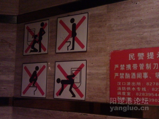 四不准