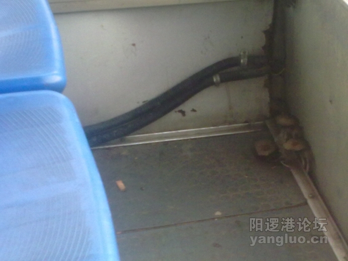 20120510337.jpg