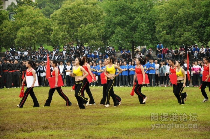DSC_0799.JPG
