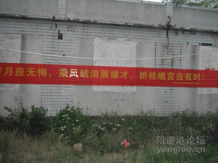 DSCF2049.JPG