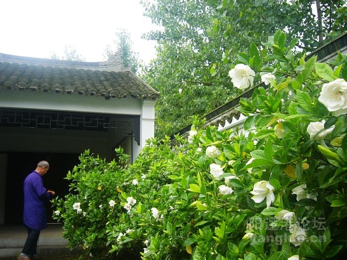 P1160081.JPG