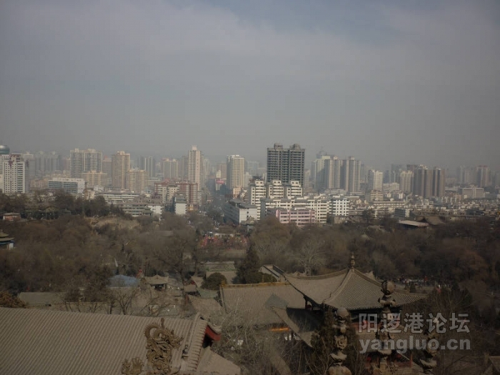 P1000453.JPG