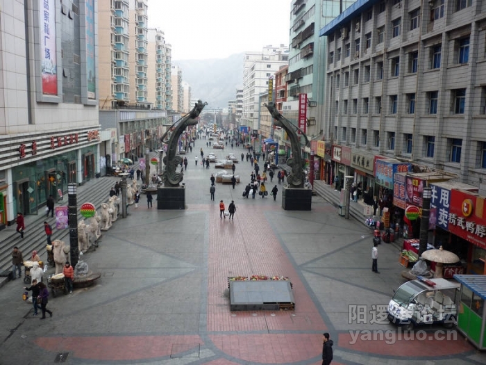 P1000651.JPG