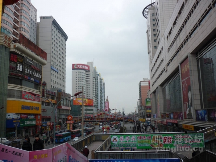 P1000652.JPG