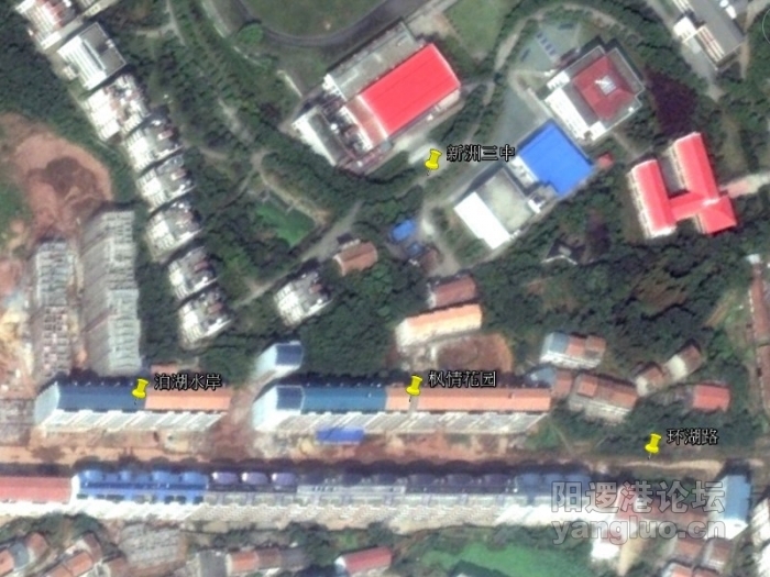 枫情花园 泊湖水岸.jpg