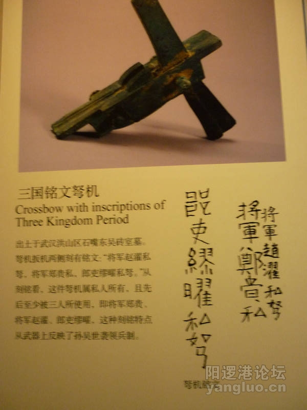 P1020694.JPG