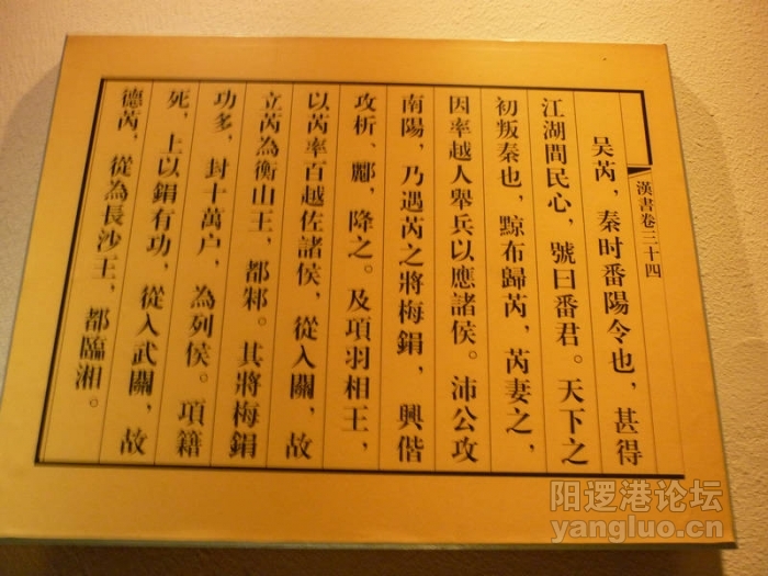 P1020699.JPG
