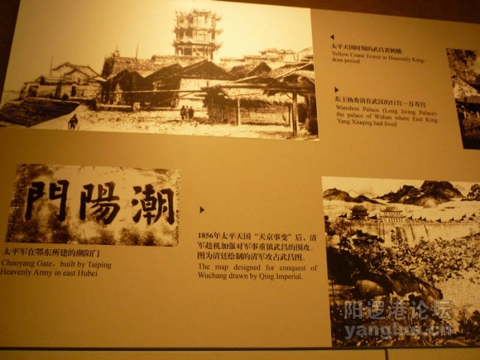 P1020720.JPG