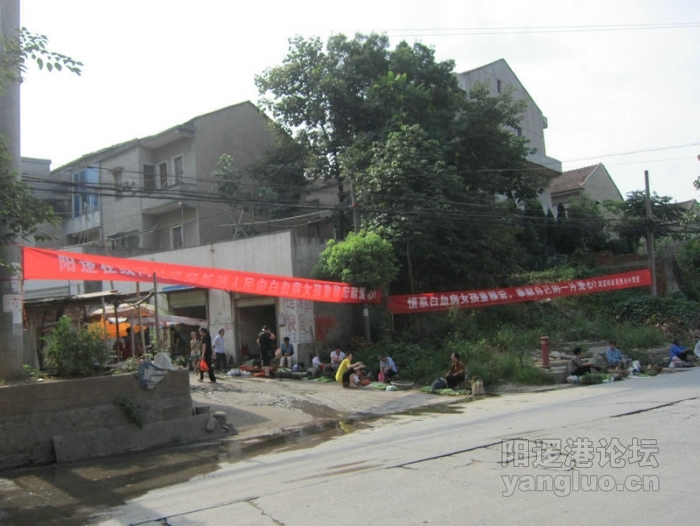 新光募捐现场004.jpg
