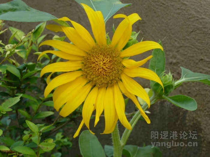 P1010272.JPG