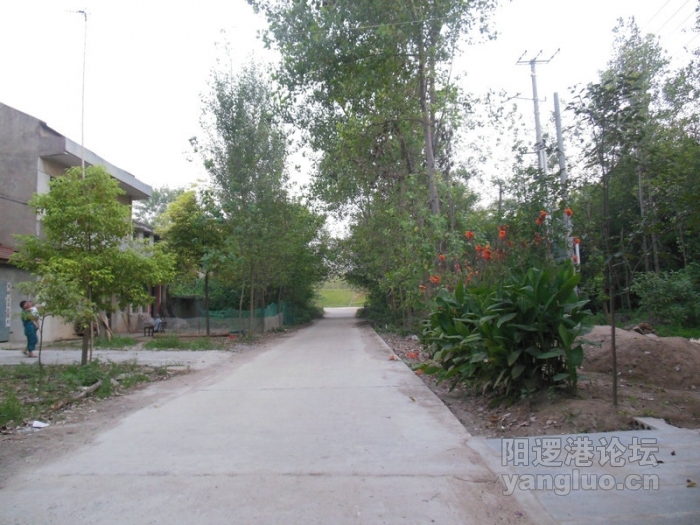 DSCN2935.jpg