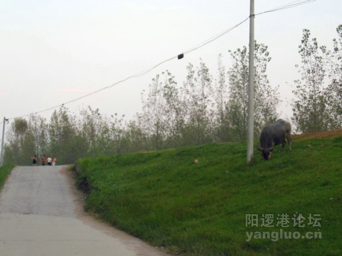DSCN2936.jpg