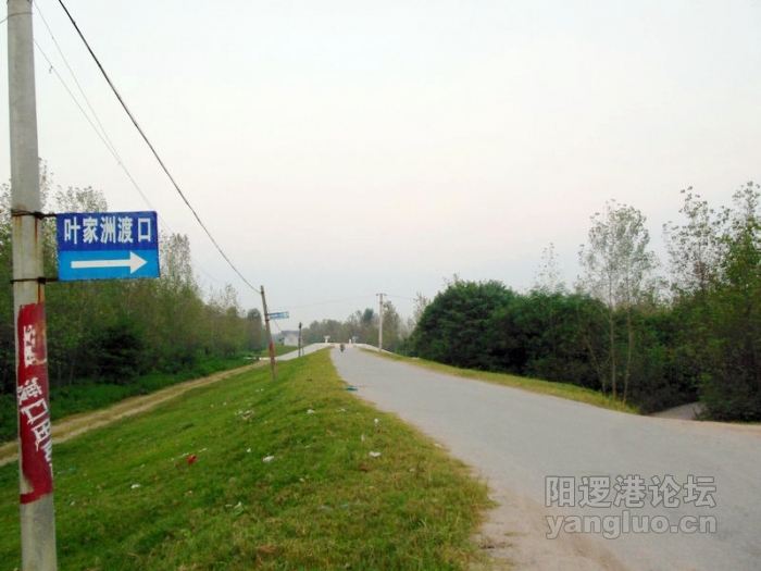 DSCN2940.jpg