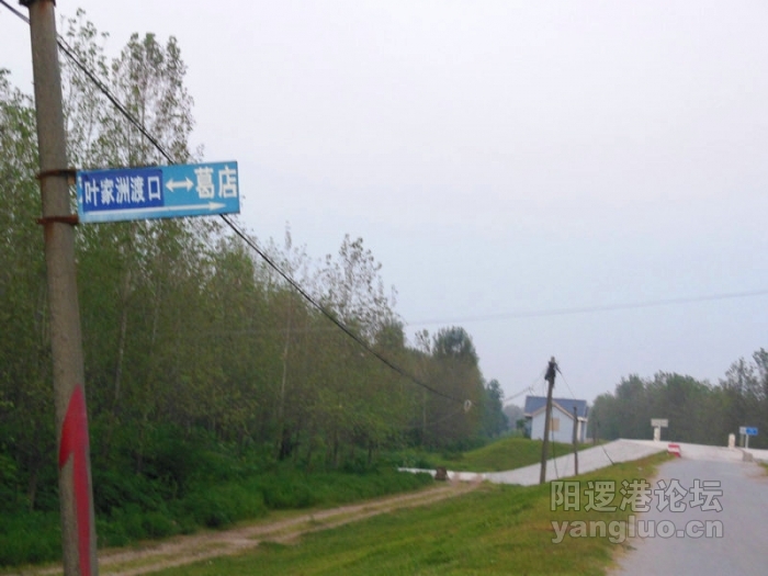 DSCN2942.jpg