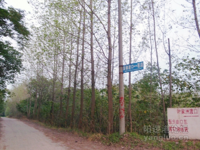 DSCN2943.jpg