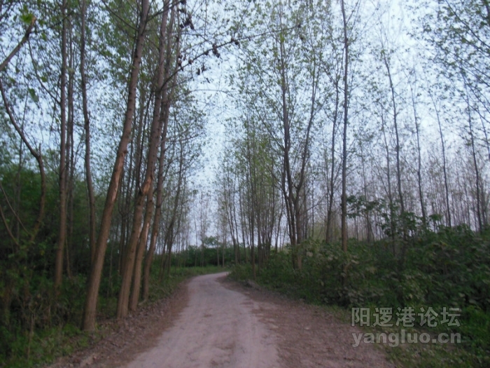 DSCN2944.jpg